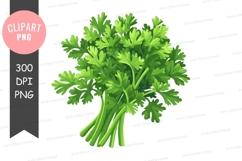 Fresh parsley clipart png Product Image 1