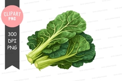 Fresh green leafy vegetables Product Image 1