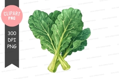 Fresh green leafy vegetables clipart png Product Image 1