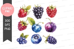 Assorted berries clipart png Product Image 1