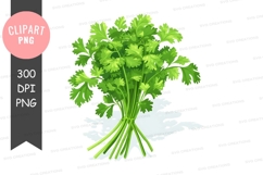 Fresh parsley clipart png Product Image 1