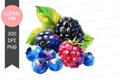Assorted berries clipart png Product Image 1