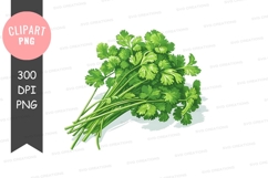 Fresh parsley clipart png Product Image 1