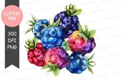 Colorful berries clipart png Product Image 1