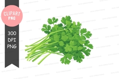 Fresh parsley clipart png Product Image 1