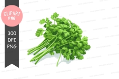 Fresh parsley clipart png Product Image 1