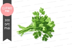 Fresh coriander leaves clipart png Product Image 1