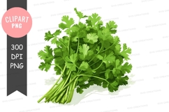 Fresh coriander clipart png Product Image 1