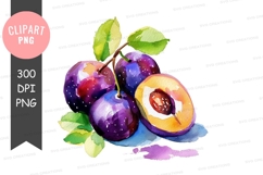 Watercolor plums clipart png Product Image 1