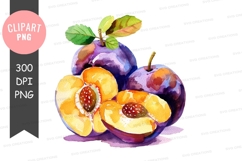 Watercolor plums clipart png Product Image 1