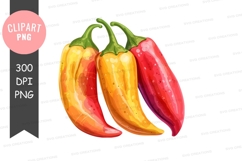 Three colorful peppers clipart png Product Image 1
