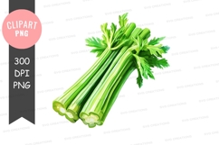 Fresh celery clipart png Product Image 1