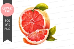 Freshly cut grapefruit clipart png Product Image 1