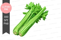 Fresh celery clipart png Product Image 1