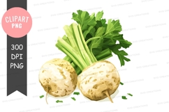 Fresh celery stalks with parsley Product Image 1