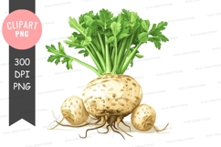 Fresh parsnips clipart png Product Image 1