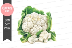 Fresh cauliflower clipart png Product Image 1