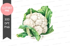 Fresh cauliflower with leaves clipart png Product Image 1