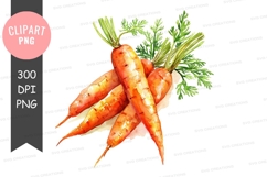 Fresh carrots clipart png Product Image 1