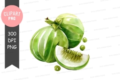 Green guava clipart png Product Image 1