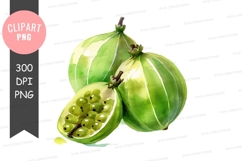 Passion fruit clipart png Product Image 1