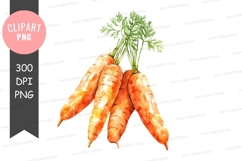 Bundle of fresh carrots clipart png Product Image 1