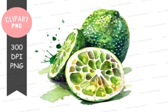 Green citrus fruits clipart png Product Image 1