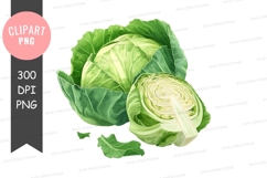 Fresh cabbage clipart png Product Image 1