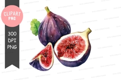 Watercolor illustration of figs Product Image 1