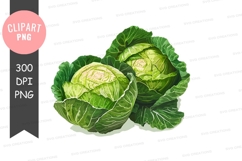 Fresh cabbages clipart png Product Image 1