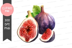 Fresh figs clipart png Product Image 1