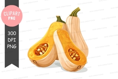 Butternut squash clipart png Product Image 1