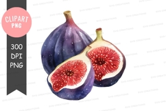 Watercolor illustration of figs Product Image 1