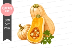 Butternut squash clipart png Product Image 1