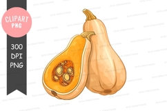 Butternut squash clipart png Product Image 1