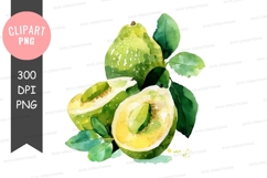 Watercolor illustration of lemons Product Image 1