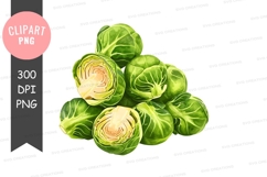 Fresh brussels sprouts clipart png Product Image 2