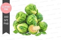Fresh brussels sprouts clipart png Product Image 1