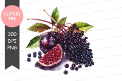 Assorted berries clipart png Product Image 1