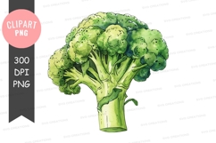 Broccoli clipart png Product Image 1