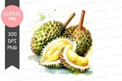 Durian fruit clipart png Product Image 1