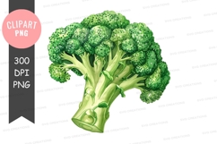 Broccoli clipart png Product Image 1