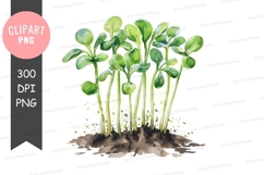 Growing seedlings clipart png Product Image 1