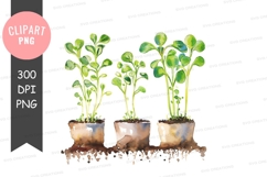 Three potted plants clipart png Product Image 1