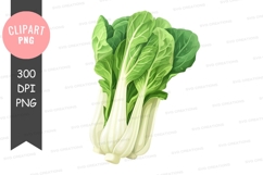 Bok choy clipart png Product Image 2