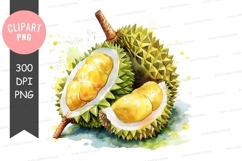 Durian fruit clipart png Product Image 1