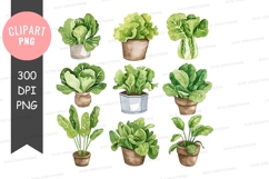 Collection of potted green plants clipart png Product Image 1