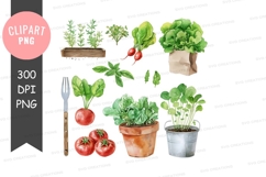 Fresh vegetables and herbs clipart png Product Image 1