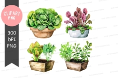 Assorted potted plants clipart png Product Image 1
