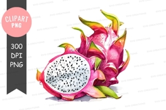 Dragon fruit clipart png Product Image 1